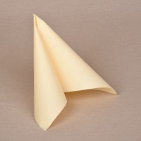 Pezsgő nem szőtt textil szalvéta 14x50db